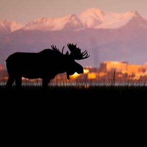 Meet your Posher, Savannnah